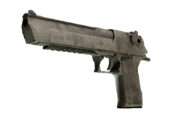 Desert Eagle | Mudder