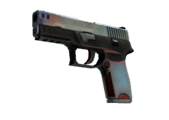 P250 | Cyber Shell