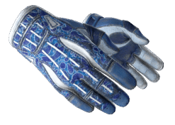 Sport Gloves | Amphibious