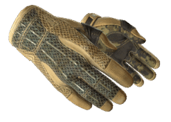 Sport Gloves | Arid