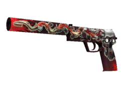 USP-S | Kill Confirmed