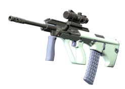 AUG | Storm (Factory New)