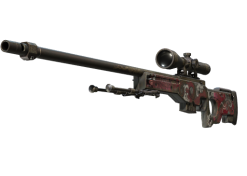 AWP | Duality (Well-Worn)