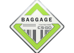 Baggage Pin