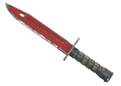 ★ Bayonet | Crimson Web (Field-Tested)