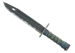 ★ Bayonet | Night (Field-Tested)