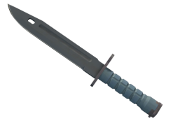 ★ Bayonet | Night (Minimal Wear)