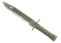 ★ Bayonet | Safari Mesh (Battle-Scarred)