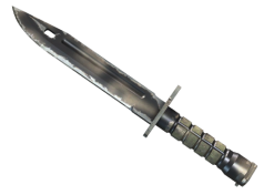 ★ Bayonet | Scorched (Field-Tested)