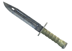 ★ Bayonet | Stained (Factory New)