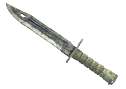 ★ Bayonet | Stained (Battle-Scarred)