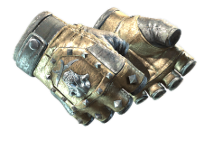 ★ Bloodhound Gloves | Bronzed (Field-Tested)