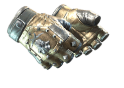 ★ Bloodhound Gloves | Bronzed (Minimal Wear)