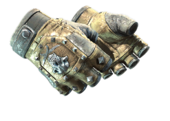 ★ Bloodhound Gloves | Bronzed (Battle-Scarred)