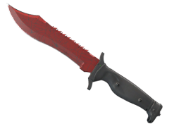 ★ Bowie Knife | Crimson Web (Field-Tested)