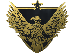 Brigadier General Pin