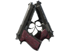 Dual Berettas | BorDeux (Field-Tested)